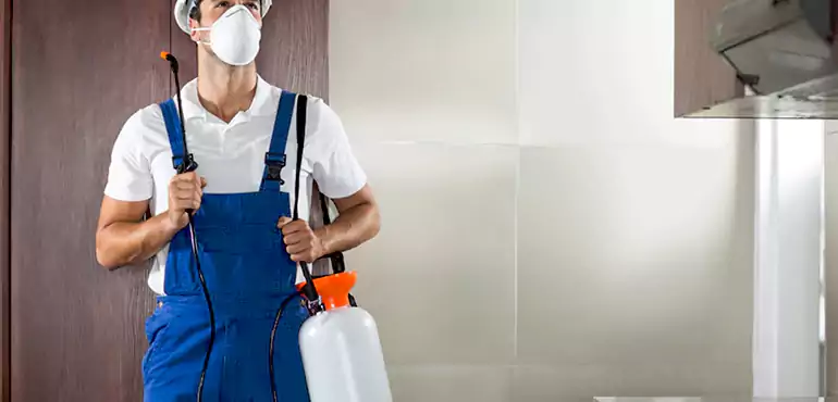 Why Rhode Island Homeowners Choose Us When Pests Make Selling Difficult